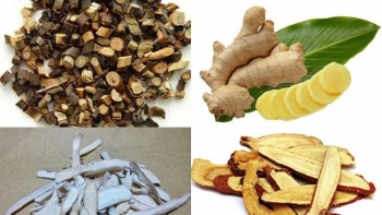 Một số bài thuốc hỗ trợ điều trị bệnh truyền nhiễm