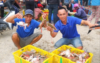 Cuối năm ngư dân Cửa Lò bội thu mùa săn ghẹ