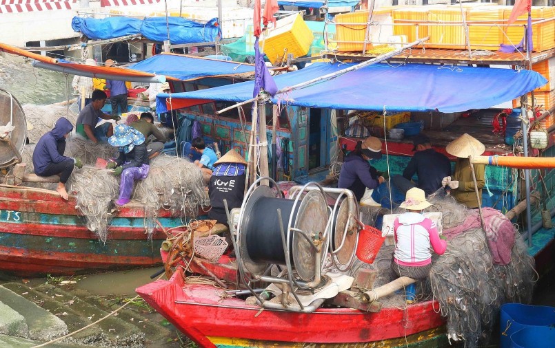 Theo người dân địa phương, ghẹ được đánh bắt bằng lồng bát quái khi đi tàu, thuyền lớn, còn săn bằng lưới thì đi thuyền nhỏ. Ở phường Nghi Tân, phần lớn người dân săn ghẹ bằng lưới, đi theo từng gia đình từ 2 - 4 lao động. Ảnh: Huy Thư