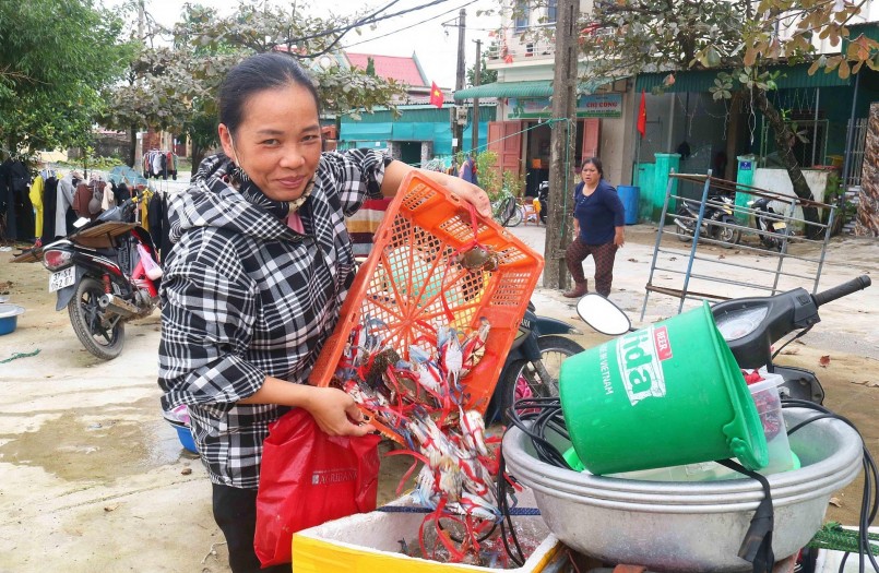 Theo người dân địa phương, ghẹ năm nay mất giá hơn các năm trước. Ghẹ loại 1 năm trước có giá từ 200.000 - 250.000 đồng/kg, nay chỉ còn 170.000 đồng/kg. Nguyên nhân ghẹ rớt giá theo các lái buôn, chủ yếu do thị trường phía Bắc không tiêu thụ mạnh như trước. Ảnh: Huy Thư