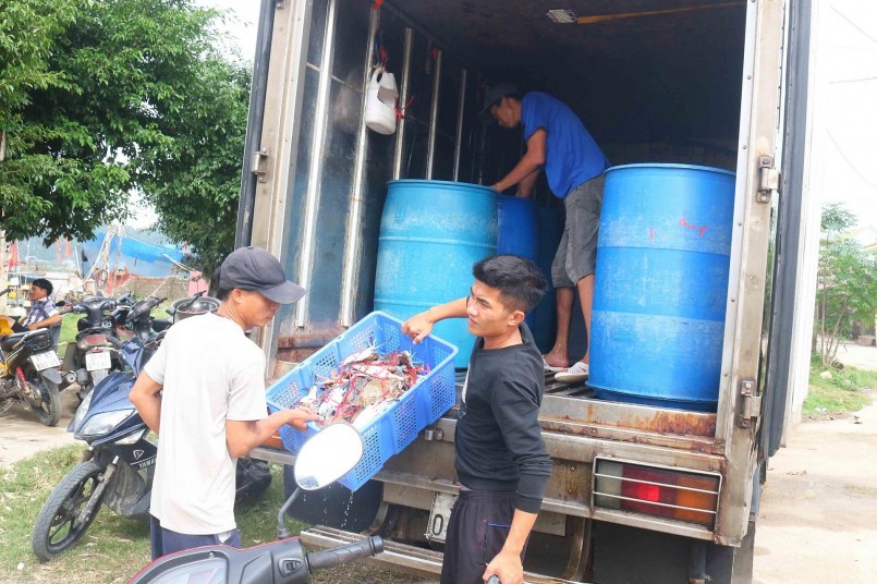 Ông Nguyễn Đức Lâm - Chủ tịch UBND phường Nghi Tân cho biết: Đánh bắt ghẹ của người dân địa phương chỉ có vài chục thuyền, còn lại là thuyền của người dân các địa phương khác đổ về. Cùng với cá, ghẹ là loại hải sản đem lại thu nhập khá cho nhiều hộ dân trong phường, cũng như bà con làm nghề săn ghẹ ở Cửa Lò. Ảnh: Huy Thư