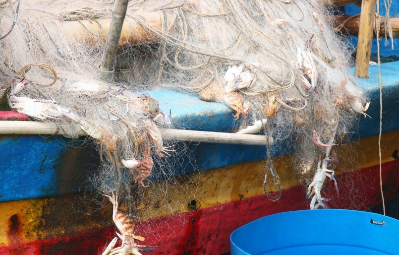 Lưới bắt ghẹ dài khoảng 3 - 4m. Người dân thường thả lưới quanh đảo Mắt, mỗi lần thả chờ 3 - 4 tiếng mới thu lưới. Đầu mỗi thuyền săn ghẹ thường gắn với 1 chiếc guồng, khi thu lưới thì chỉ việc quay guồng để cuốn lưới và về bến mới gỡ. Ảnh: Huy Thư