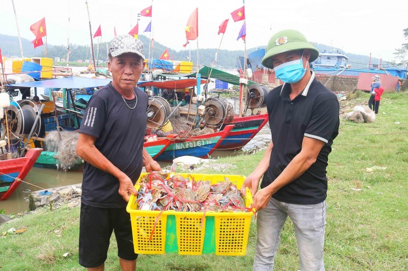 Ông Nguyễn Văn Cường (65 tuổi), trú ở phường Nghi Tân cho biết: Thời gian gần đây, mỗi lần xuất bến (nửa đêm đi, trưa về), thuyền gia đình ông cũng săn được khoảng 40 kg ghẹ các loại. Theo ông Cường, săn xa bờ thì được ghẹ to, săn gần bờ thì được ghẹ nhỏ. Mỗi ngày đi săn ghẹ hết khoảng 20 - 25 lít dầu, tùy xa hay gần. Hiện đang là thời điểm trúng ghẹ nhất trong năm. Ảnh: Huy Thư