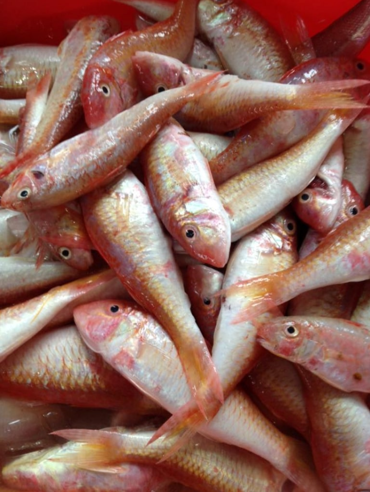 Đặc sản nổi tiếng được ví như "tôm rừng", xưa giá rẻ, nay khan hiếm vô có giá 200.000 đồng/kg