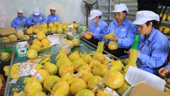 Xuất siêu cả nước trong 11 tháng 2022 tăng vọt so với cùng kỳ, đạt 10,6 tỷ USD