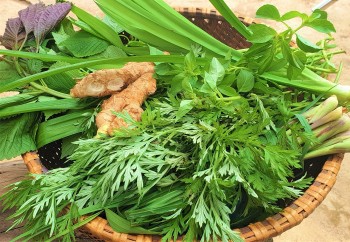 Bỏ túi phương pháp dân gian giúp giảm các triệu chứng cảm cúm