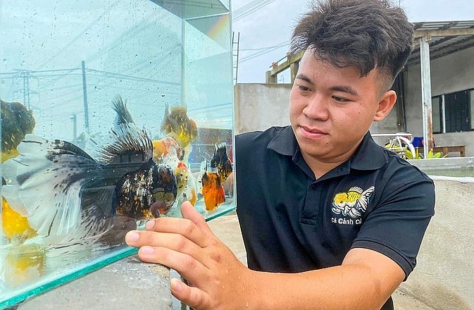 Tới nay, cơ sở nuôi cá cảnh này  có thể cung cấp ra thị trường hơn 6.000 con cá vàng giống.