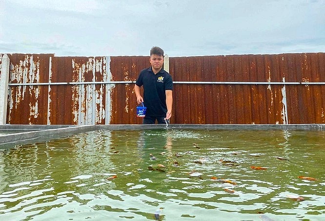 Nuôi cá cảnh ngoài niềm đam mê cần phải nắm chắc kỹ thuật nuôi cá.