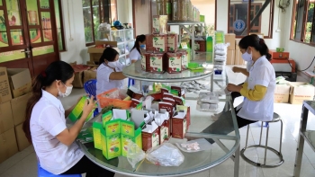 Hồng Vân phát triển kinh tế du lịch bền vững với trà chùm ngây OCOP 4 sao