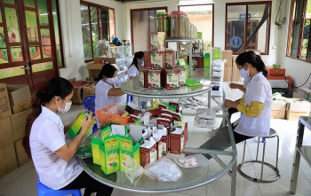 Hồng Vân phát triển kinh tế du lịch bền vững với trà chùm ngây OCOP 4 sao