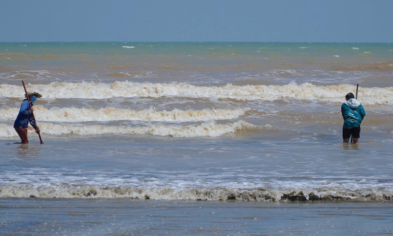 Người dân nơi đây gọi đây là nghề