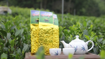 Người đưa hương chè Thanh Trà bay xa