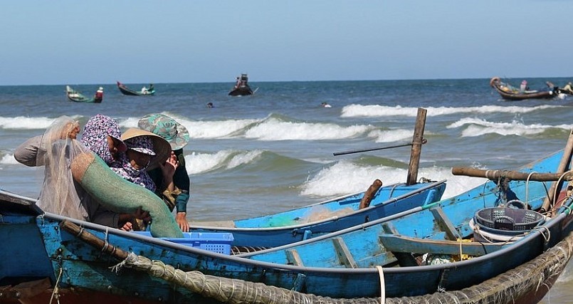 Nụ cười mùa ruốc biển, ra biển hụp lặn kiếm tiền triệu mỗi ngày