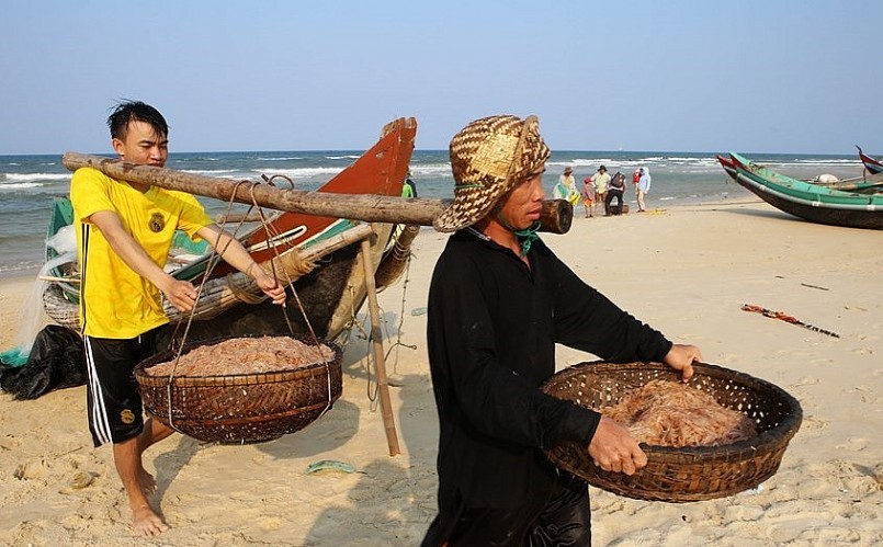 Nụ cười mùa ruốc biển, ra biển hụp lặn kiếm tiền triệu mỗi ngày