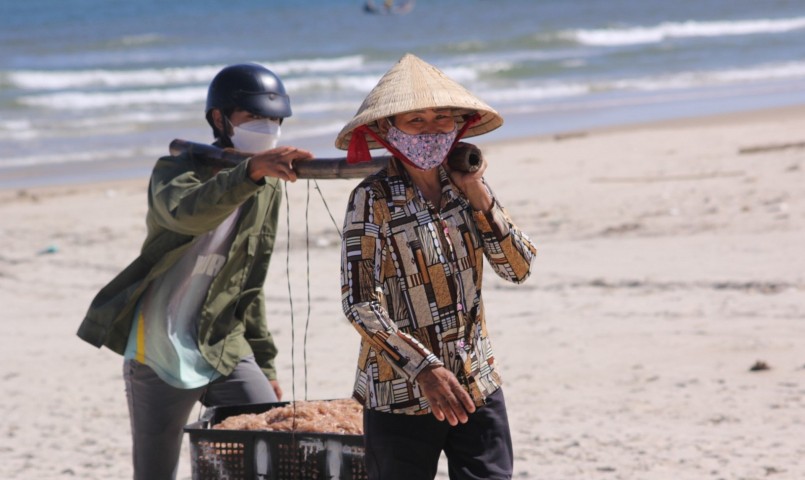 Nụ cười mùa ruốc biển, ra biển hụp lặn kiếm tiền triệu mỗi ngày