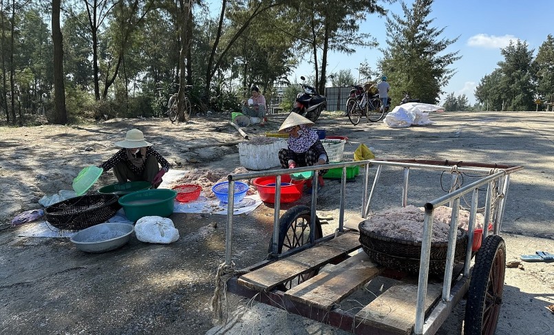 Nụ cười mùa ruốc biển, ra biển hụp lặn kiếm tiền triệu mỗi ngày