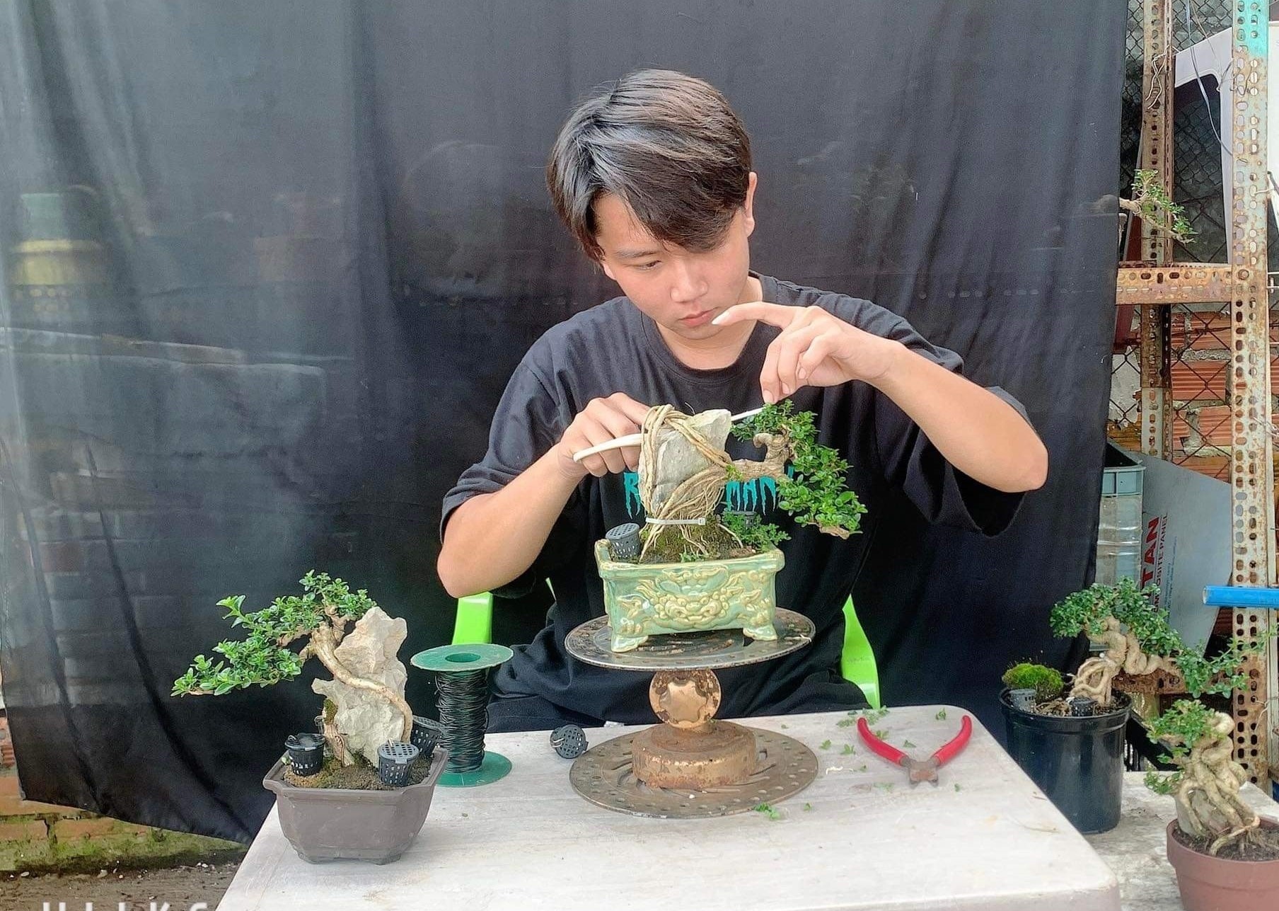 Tú khởi nghiệp với bonsai từ rất sớm