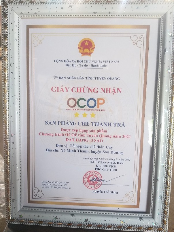 Người đưa hương chè Thanh Trà bay xa