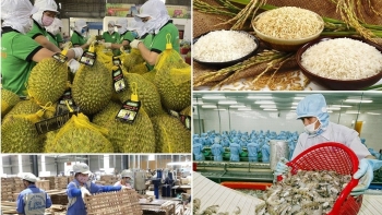 Xuất khẩu nông lâm thủy sản thu về 49,04 tỷ USD