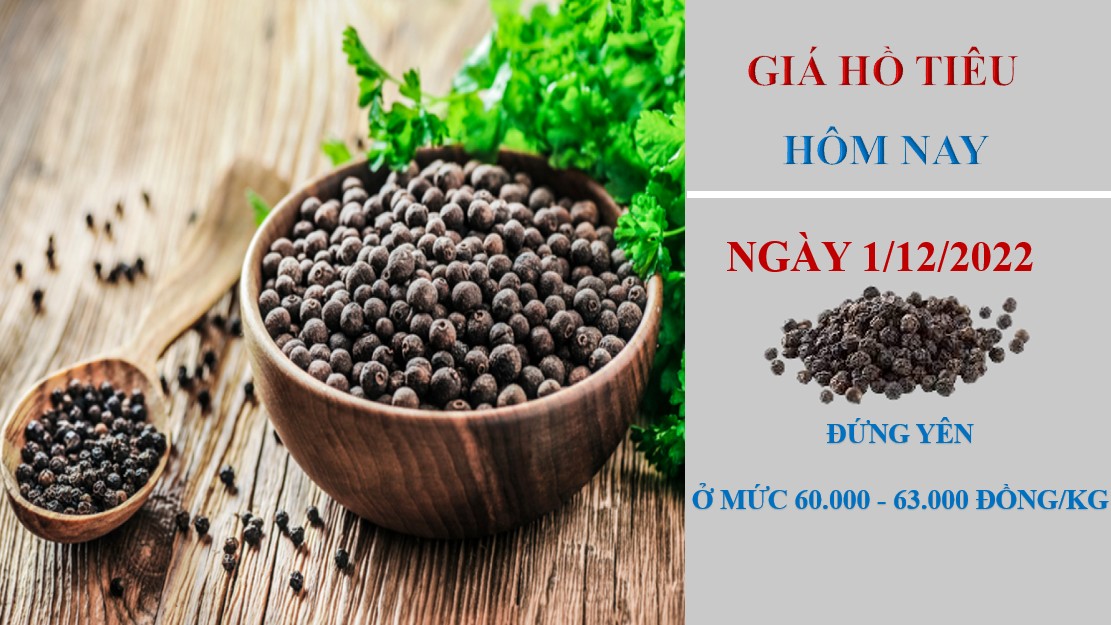 Giá hồ tiêu hôm nay 1/12/2022: Thị trường dần phục hồi