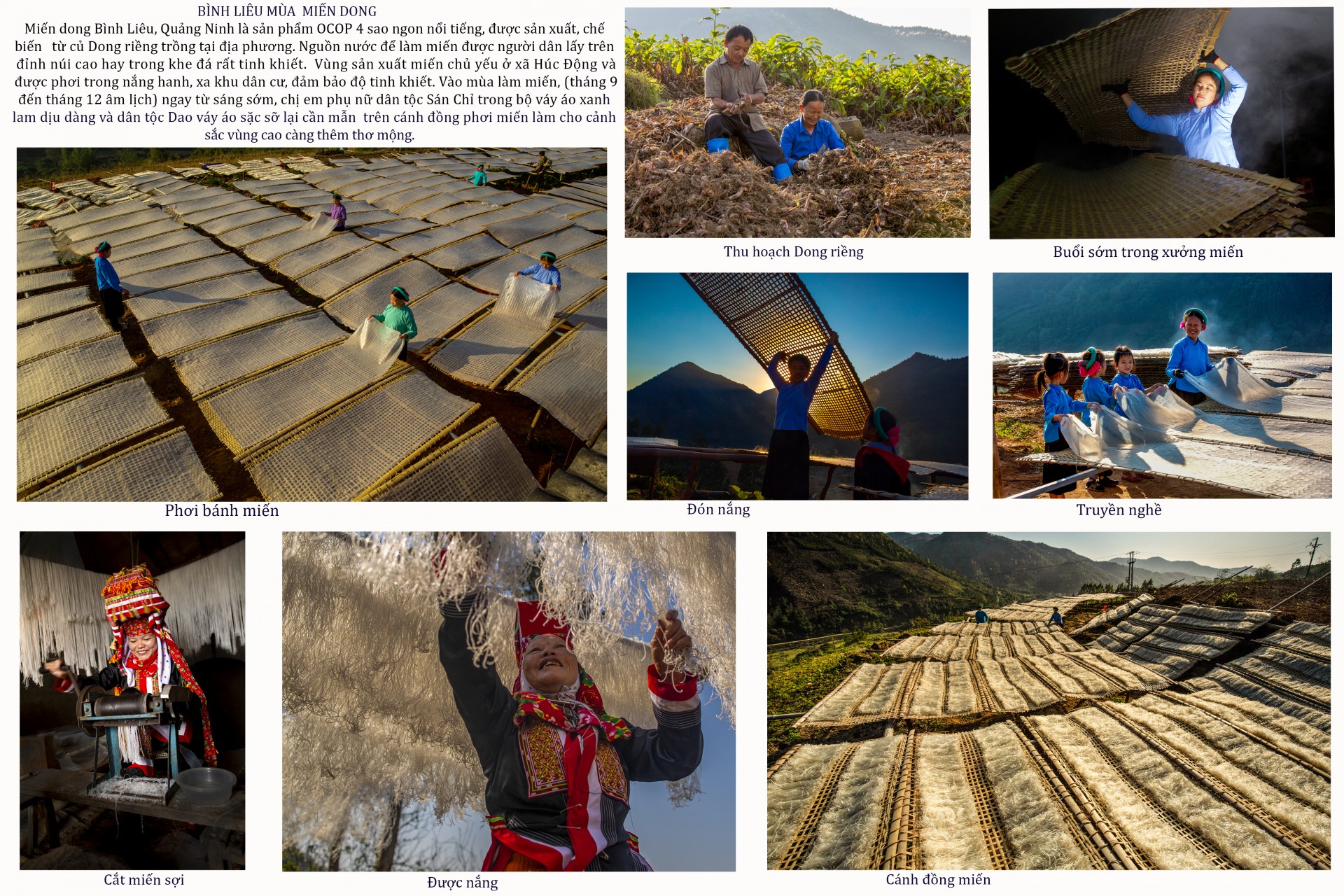 Tác phẩm "Bình Liêu mùa miến dong" Tác phẩm "Bình Liêu mùa miến dong"