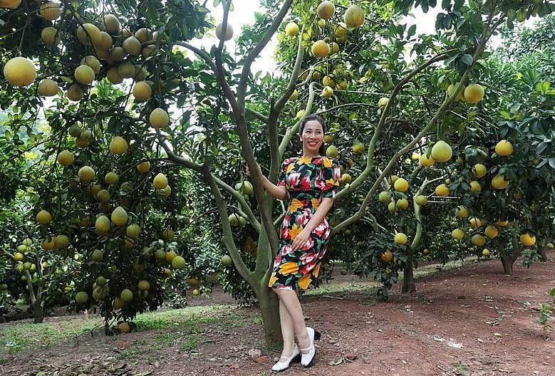 Du khách tham quan vườn bưởi tại huyện Lục Ngạn.