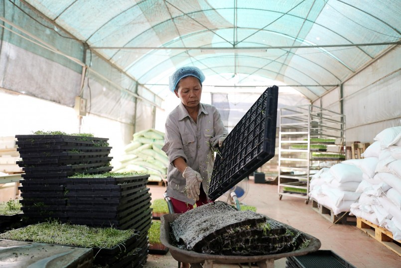  Được biết tính đến nay HTX Thanh Hà hiện có 30 sản phẩm được công nhận là sản phẩm OCOP 4 sao. Năm 2016, Tổng hội Nông nghiệp Việt Nam đã trao tặng danh hiệu “Thương hiệu vàng nông nghiệp Việt Nam” cho HTX Thanh Hà. Ngoài ra, HTX cũng được Trung tâm Phân tích và Chứng nhận chất lượng sản phẩm nông nghiệp cấp giấy chứng nhận VietGap.