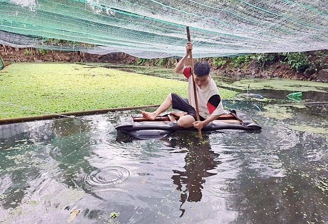 Ao nuôi không nên quá lớn vì sẽ khó chăm sóc và quản lý địch hại