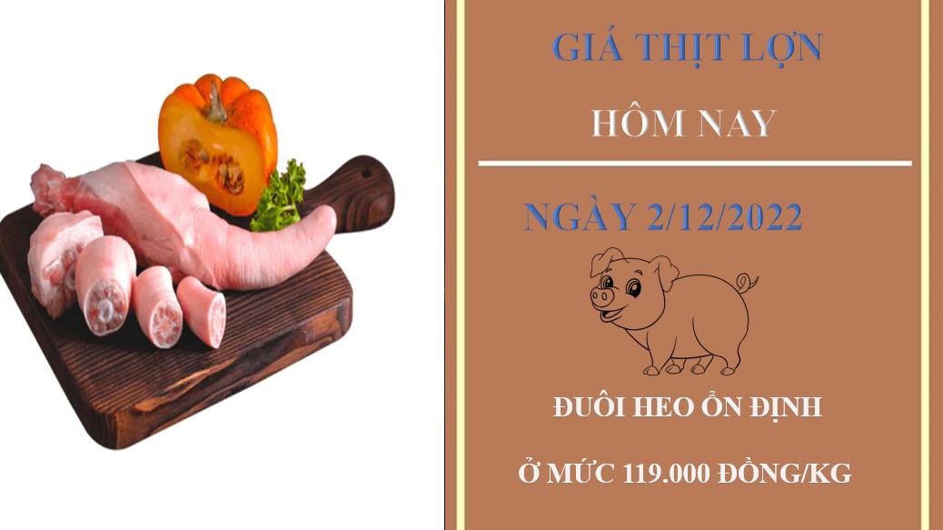 Giá thịt heo hôm nay 2/12/2022: Ổn định tại Công ty Thực phẩm bán lẻ