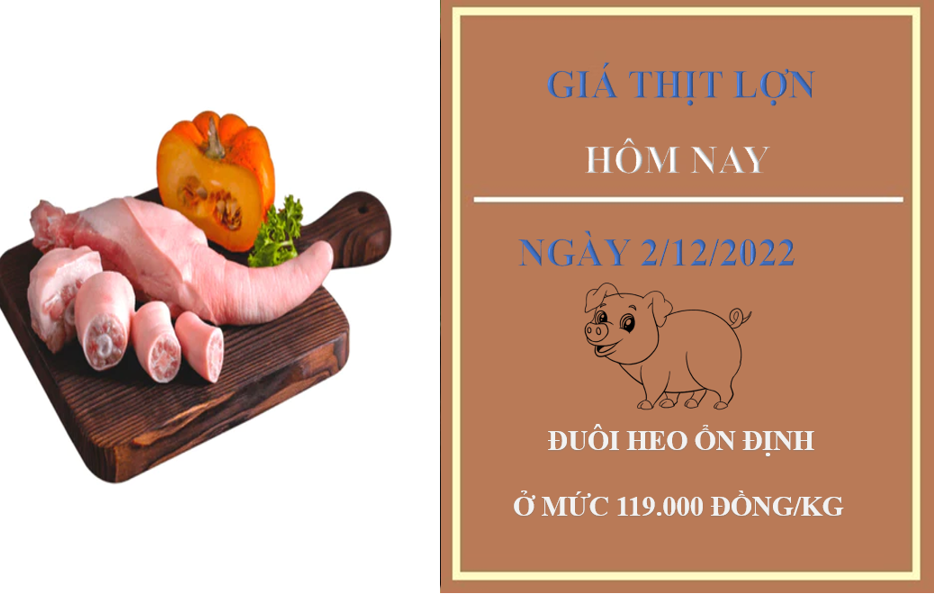 Cha đẻ “siêu vật liệu” lấy nước từ không khí: VinFuture là nguồn động lực lớn lao cho nhà khoa học