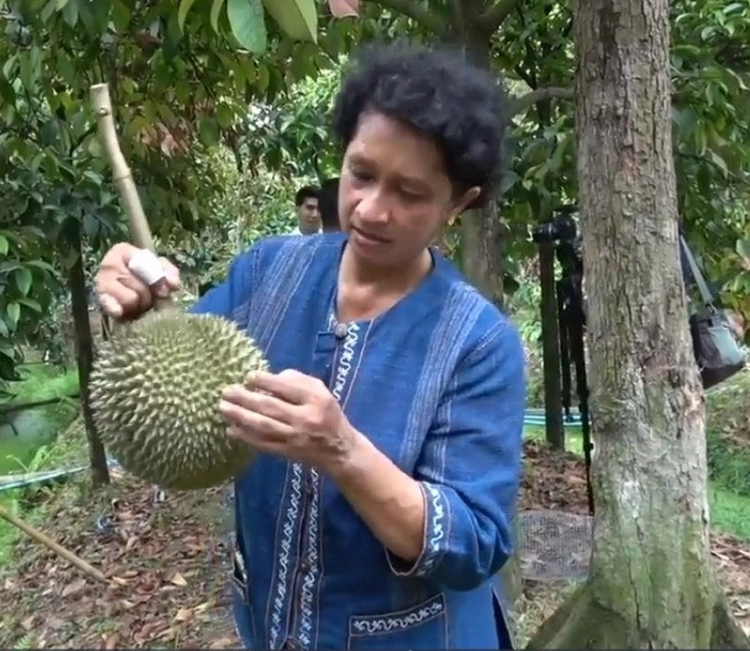 Trái sầu riêng Kanyao có hương vị đặc trưng không nơi nào có được