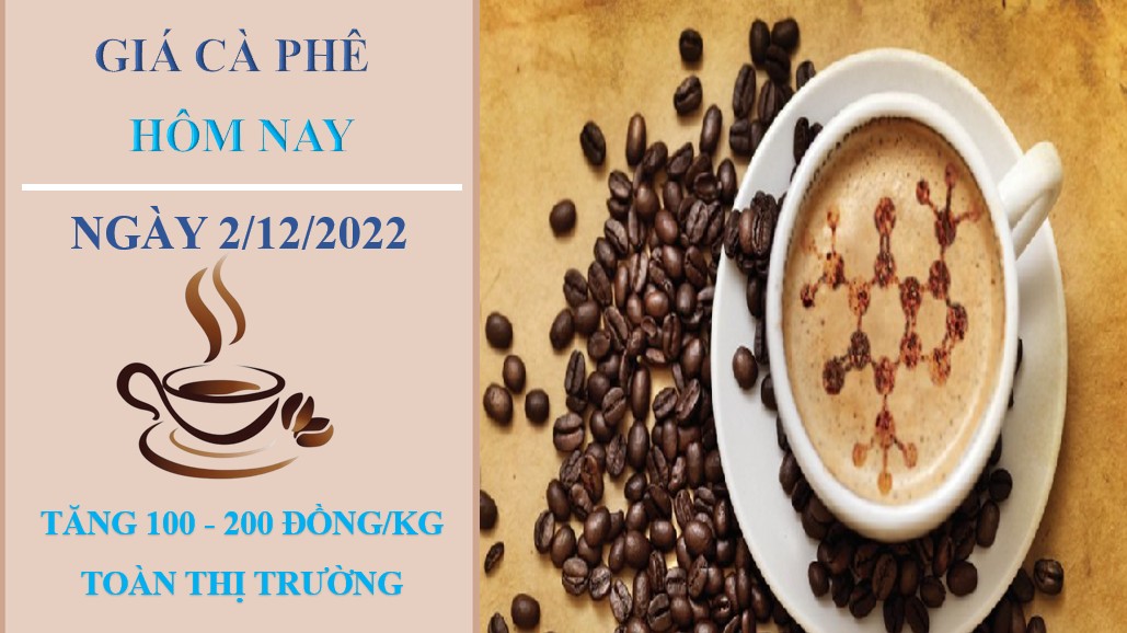 Giá cà phê hôm nay 2/12/2022: Đồng lọat tăng 100 - 200 đồng/kg