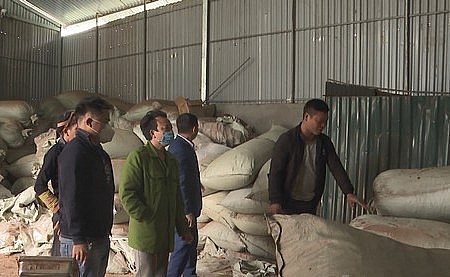 Lượng sa nhân được tập kết tại Phìn Nga chưa được xuất bán.