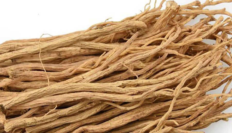 đảng sâm vị ngọt, tính bình đảng sâm vị ngọt, tính bình