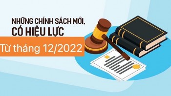 Chính sách mới có hiệu lực từ tháng 12/2022
