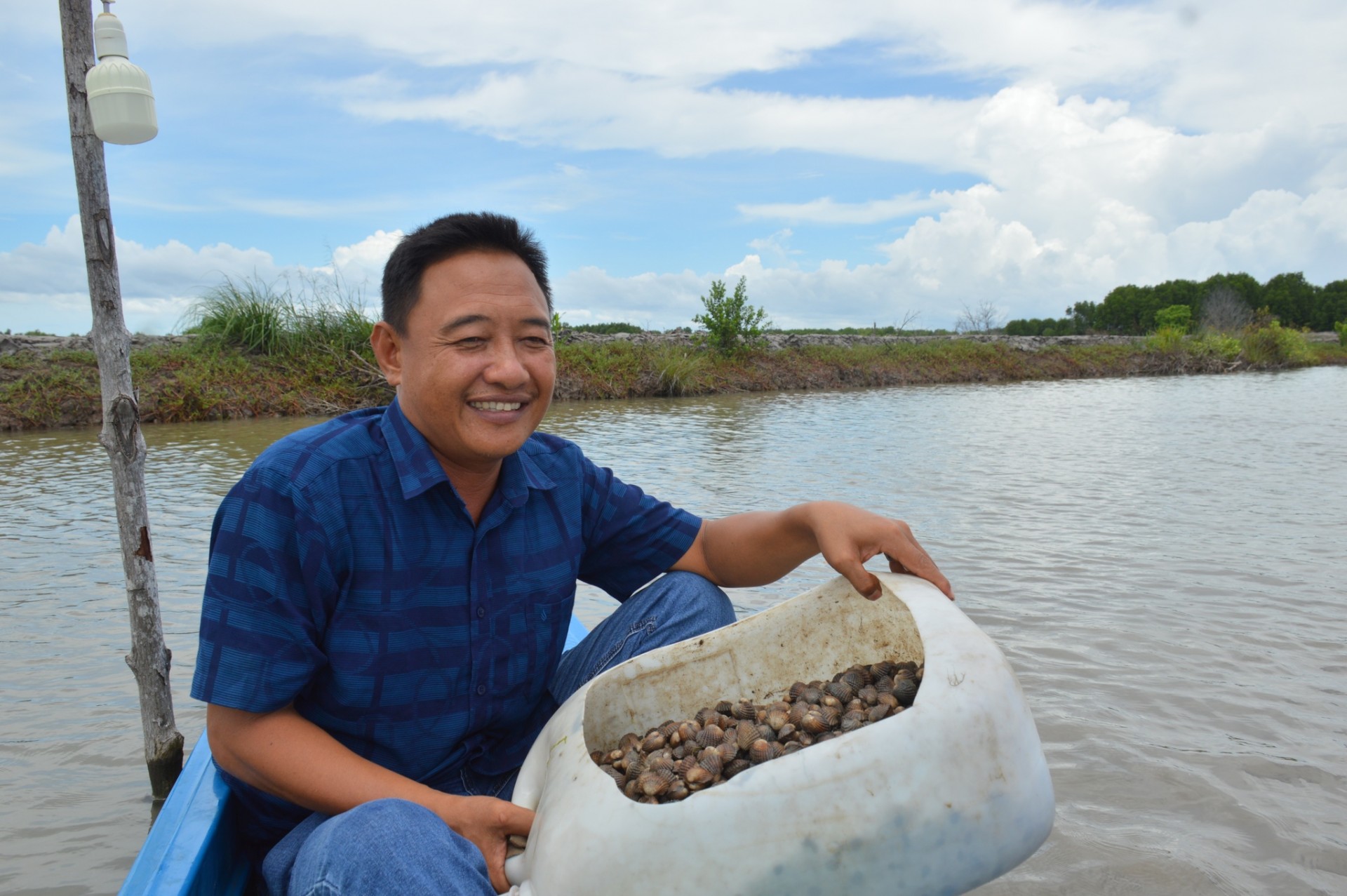 Ông Hoài phấn khởi thu hoạch sò huyết trong vuông tôm Ông Hoài phấn khởi thu hoạch sò huyết trong vuông tôm