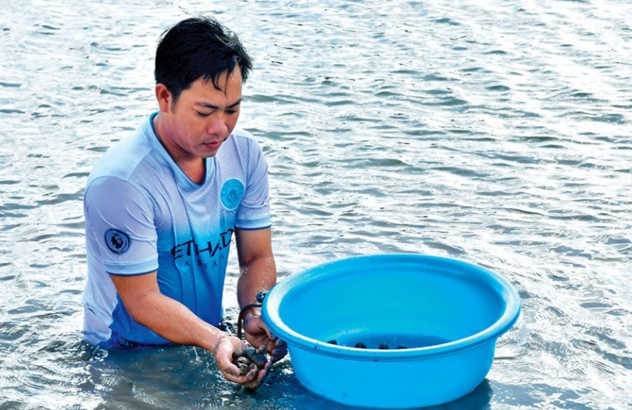 Anh Nguyễn Tuấn Dủ kiểm tra kích cỡ sò huyết thương phẩm Anh Nguyễn Tuấn Dủ kiểm tra kích cỡ sò huyết thương phẩm