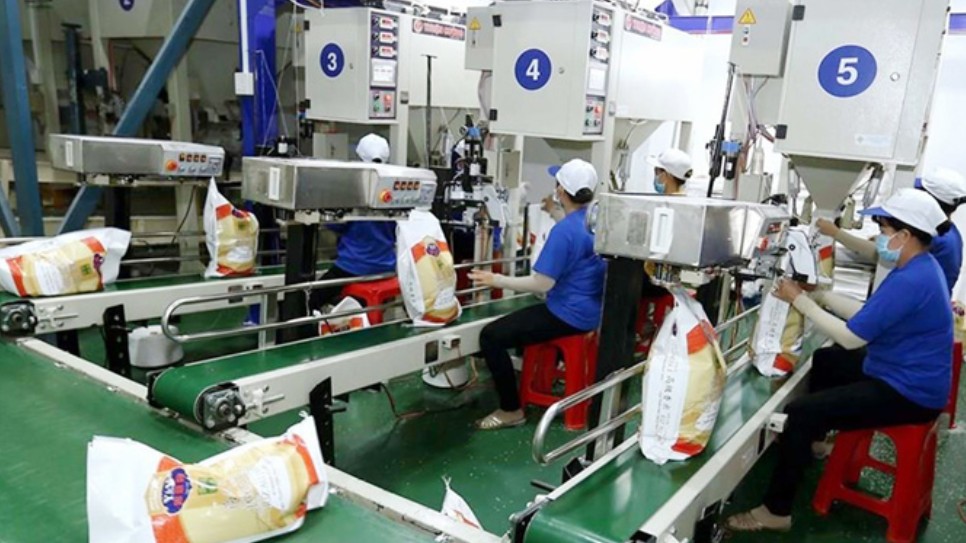 Siết nhập khẩu gạo có thể giảm tính cạnh tranh của hàng hoá