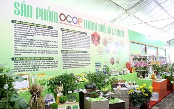 Làm giàu nhờ đổi mới mô hình chăn nuôi nâng giá trị sản phẩm nông nghiệp