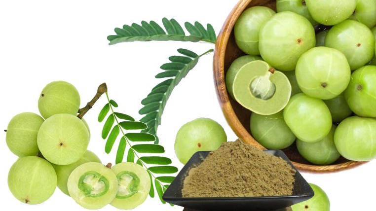 Loại quả mọc dại ở Việt Nam, được coi là "thần dược" ở nước ngoài giàu vitamin C gấp 20 lần cam