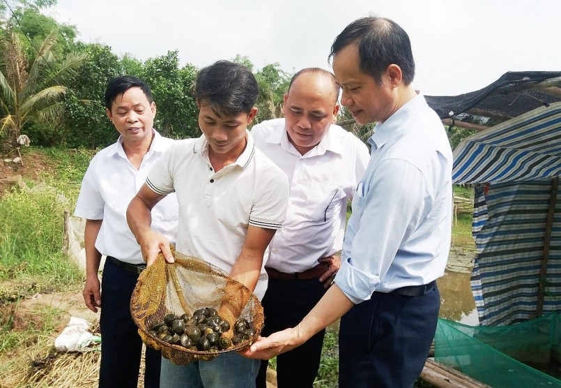 Anh Hiếu gây dựng thành công trang trại nuôi ốc nhồi rộng gần 2ha, mỗi năm thu về gần 1 tỷ đồng.