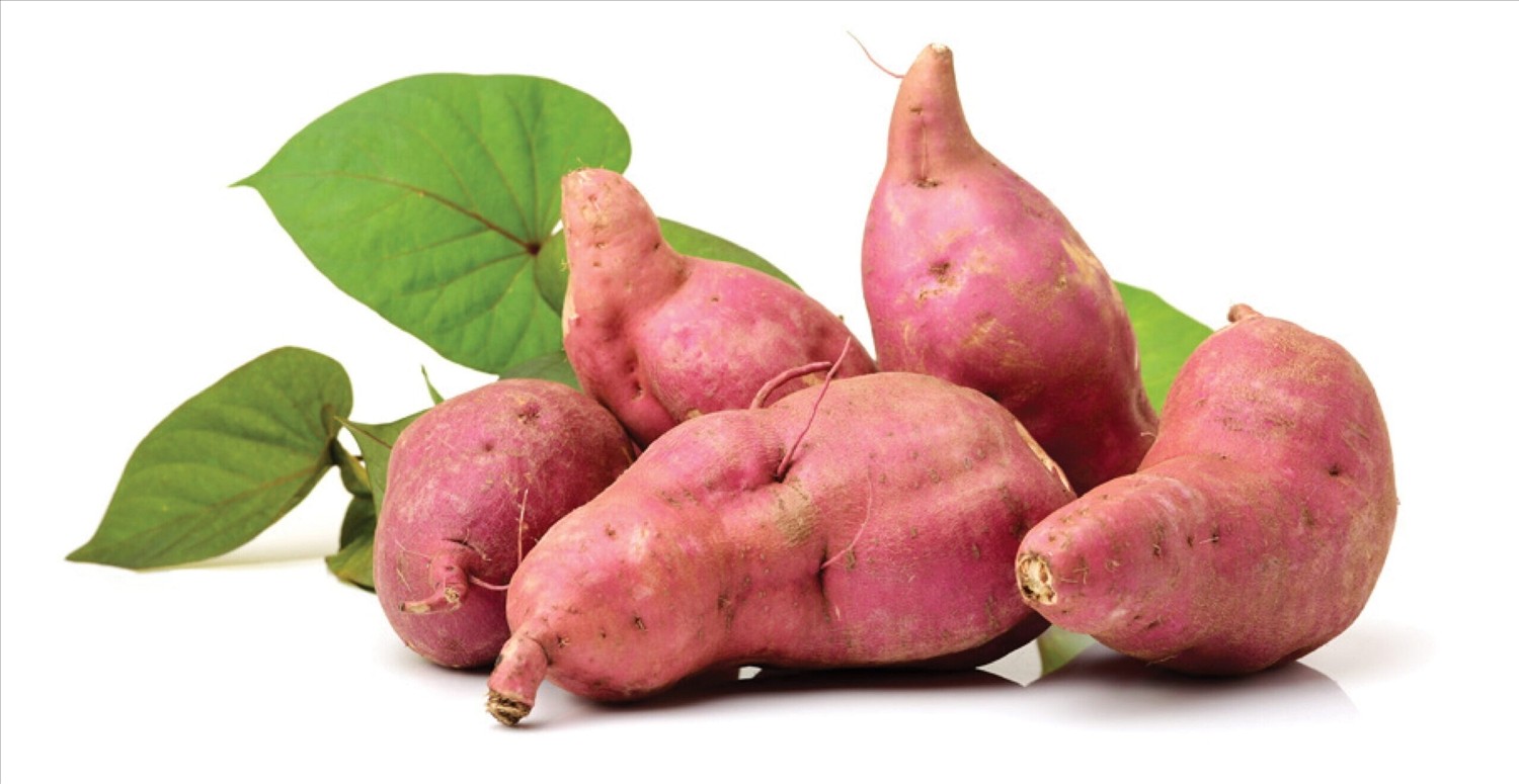 Khoai lang là loại nông sản quen thuộc