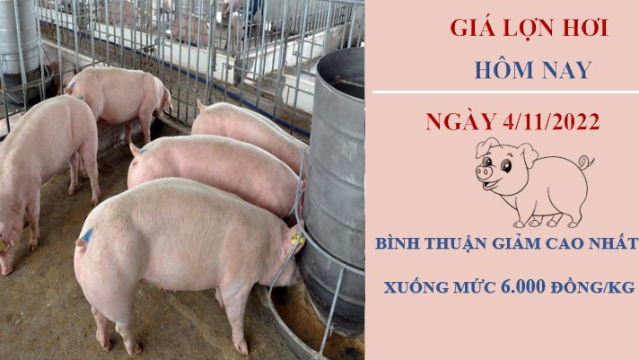 Giá heo hơi hôm nay 4/12/2022: Dự báo nhu cầu tiêu thụ trong dịp Tết giảm gây khó khăn cho hộ sản xuất