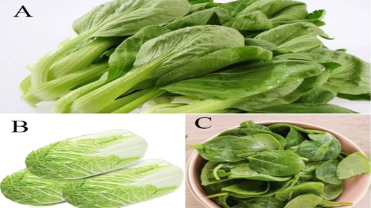 Trắc nghiệm tâm lý: Khi ăn lẩu bạn thường nhúng loại rau nào?