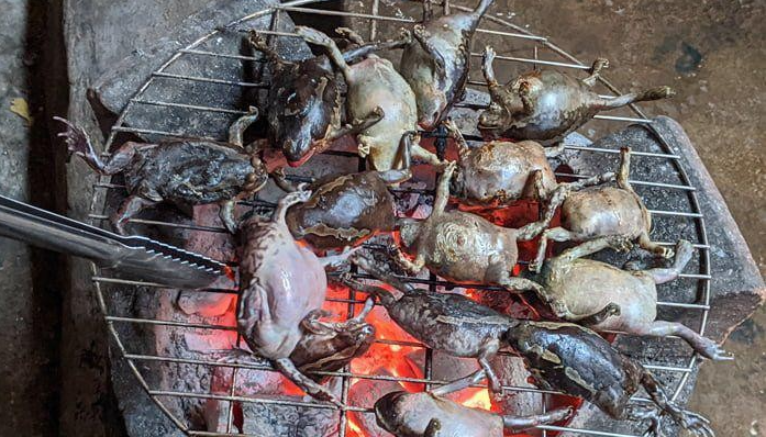 Đặc sản "hiếm có khó tìm" ở Ninh Thuận, mỗi năm chỉ có một lần