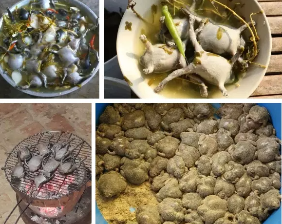 Đặc sản "hiếm có khó tìm" ở Ninh Thuận, không phải ai cũng có cơ hội thưởng thức