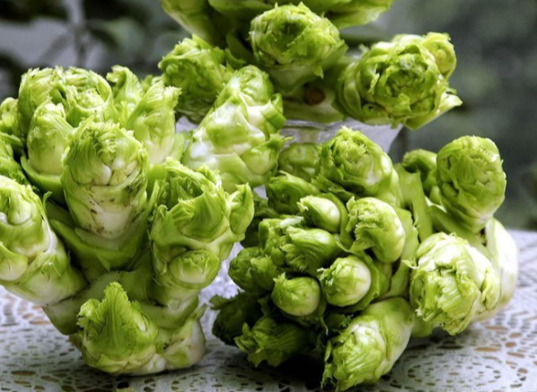 Bưởi diễn bất ngờ được mùa lại rất ngọt, giá cao tiểu thương vẫn xếp hàng hỏi mua