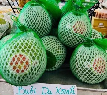 Bưởi da xanh “xuất ngoại” sang Mỹ, nhà vườn rủ nhau quay lại chăm “cây cũ”