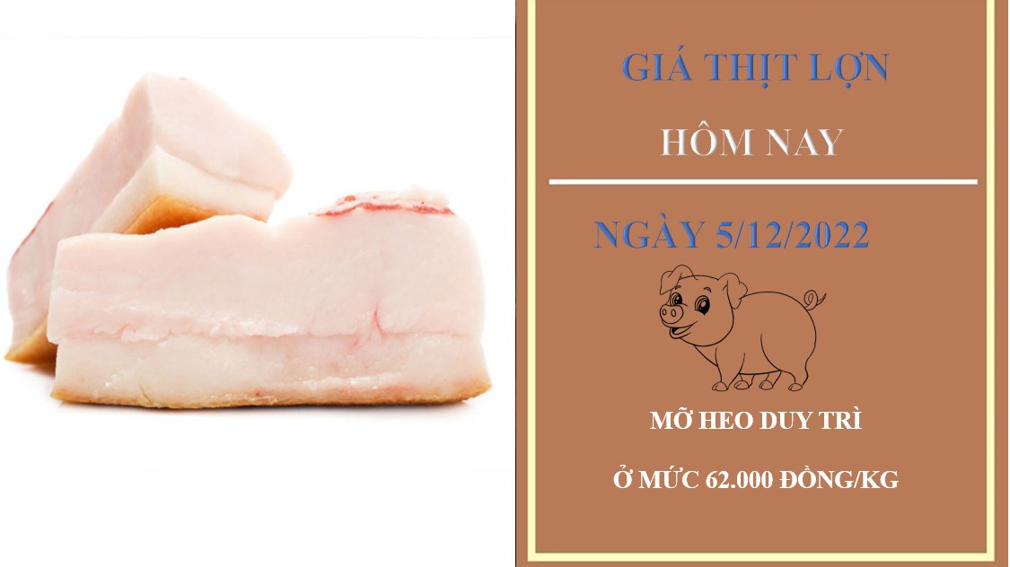 Giá thịt heo hôm nay 5/12/2022: Mỡ heo duy trì với mức 62.000 đồng/kg