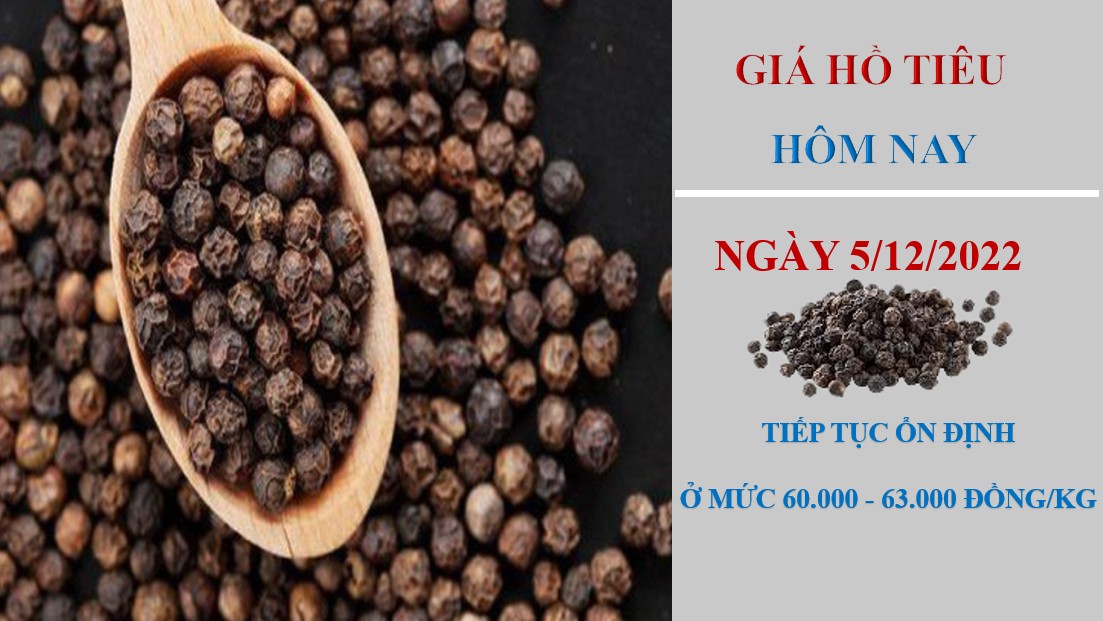 Giá hồ tiêu hôm nay 5/12/2022: không có thay đổi mới